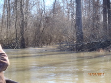 Enlarge photo 64