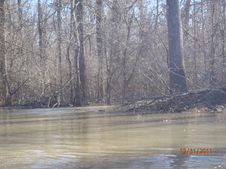 Enlarge photo 65