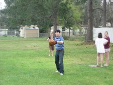 Enlarge photo 38