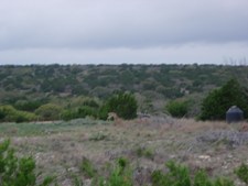 Enlarge photo 51