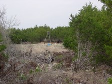 Enlarge photo 50