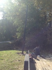 Enlarge photo 6