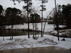 Lake Livingston