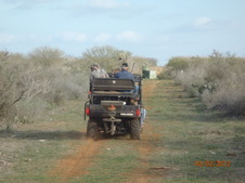 Enlarge photo 10