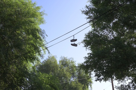 Enlarge photo 12