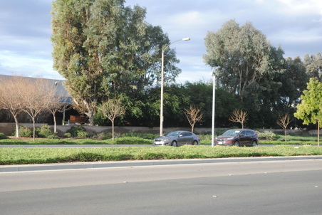 Enlarge photo 2