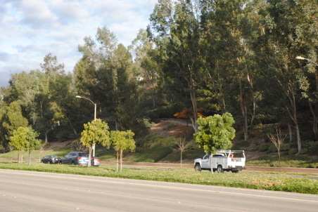Enlarge photo 10