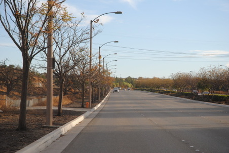 Enlarge photo 14
