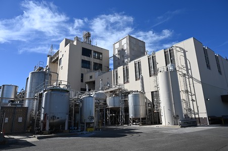 Bud_Light_Plant