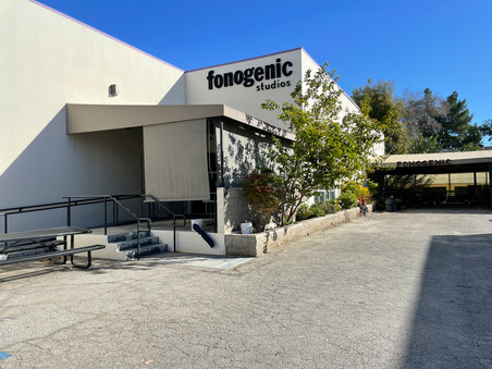 Fonogenic