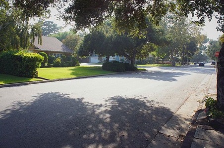Enlarge photo 41