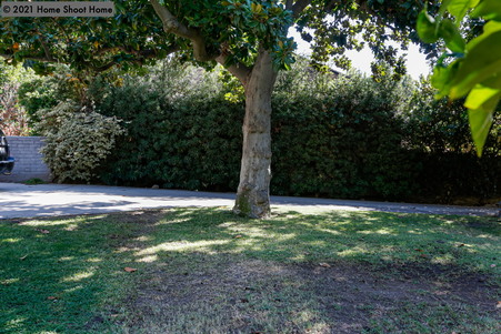 Enlarge photo 45