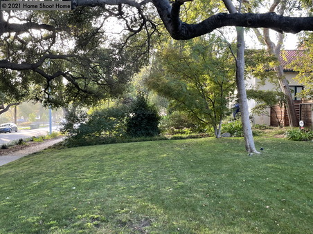 Enlarge photo 59