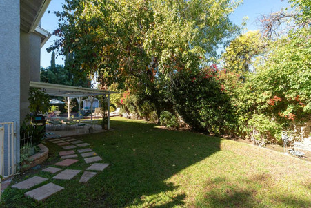 Enlarge photo 59