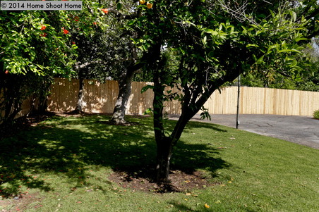 Enlarge photo 36
