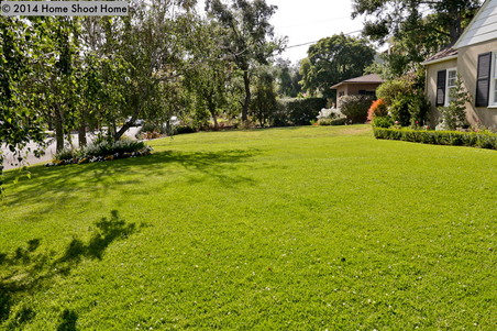 Enlarge photo 41