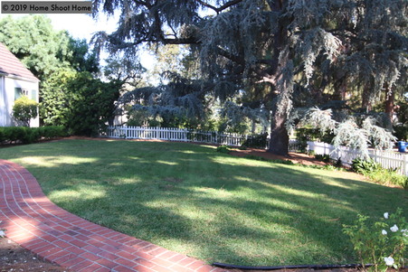 Enlarge photo 78