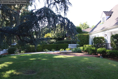 Enlarge photo 79