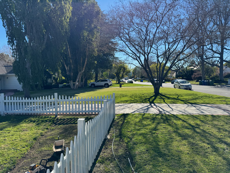 Enlarge photo 18