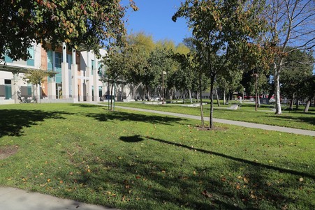 Enlarge photo 26