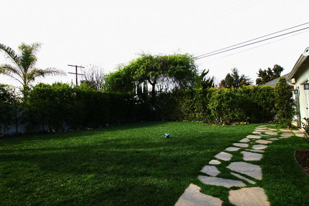 Enlarge photo 96