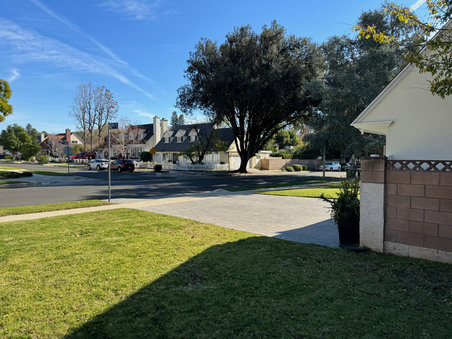 Enlarge photo 39