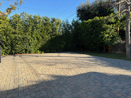 Enlarge photo 53