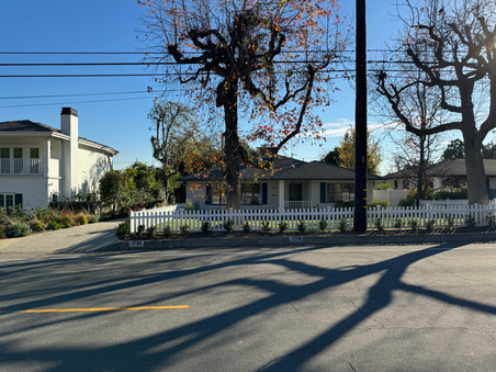 Enlarge photo 67