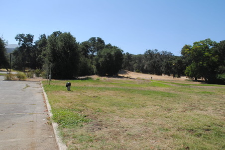 Enlarge photo 85
