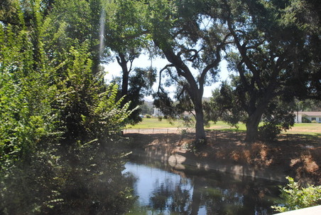 Enlarge photo 178
