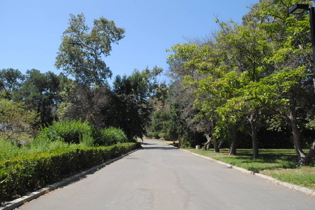 Enlarge photo 180