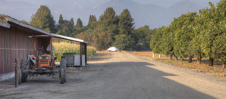 Enlarge photo 4