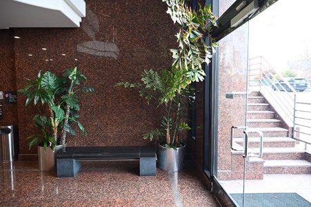 Enlarge photo 83