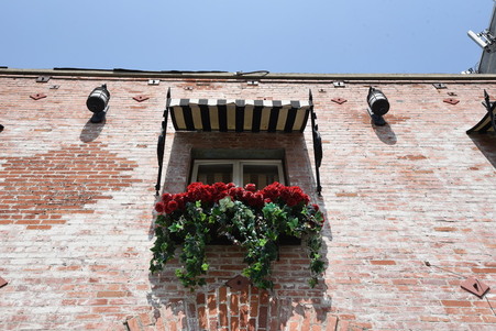Enlarge photo 80