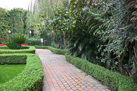 Enlarge photo 3