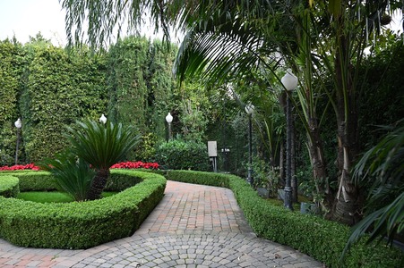 Enlarge photo 4