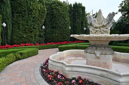 Enlarge photo 7
