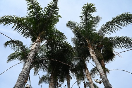 Enlarge photo 12