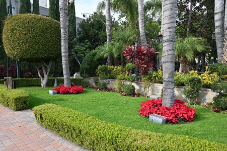 Enlarge photo 13