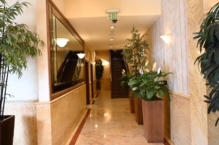 Enlarge photo 52