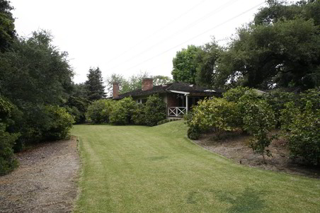 Enlarge photo 79