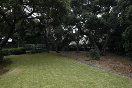 Enlarge photo 81