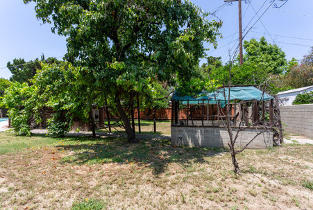 Enlarge photo 79