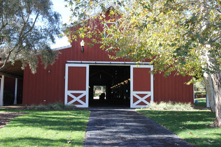 Enlarge photo 103