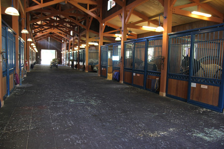 Enlarge photo 104