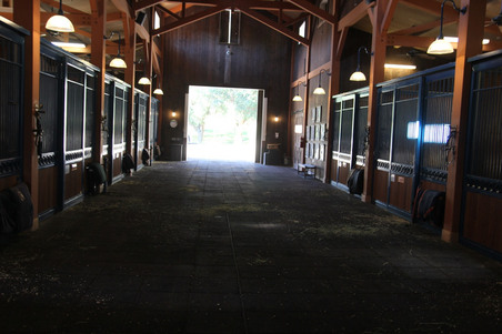 Enlarge photo 110