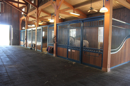 Enlarge photo 116