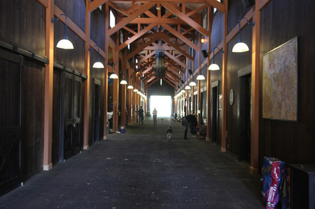 Enlarge photo 119