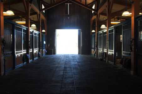 Enlarge photo 121