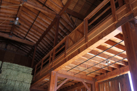 Enlarge photo 135